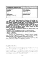 Diplomdarbs 'Jauna uzņēmuma SIA "Laipa" attīstības plāns', 22.