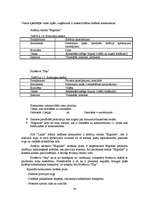 Diplomdarbs 'Jauna uzņēmuma SIA "Laipa" attīstības plāns', 24.