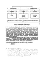 Diplomdarbs 'Jauna uzņēmuma SIA "Laipa" attīstības plāns', 29.