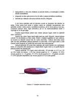 Diplomdarbs 'Jauna uzņēmuma SIA "Laipa" attīstības plāns', 34.