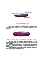 Diplomdarbs 'Jauna uzņēmuma SIA "Laipa" attīstības plāns', 35.