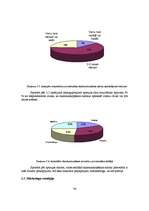 Diplomdarbs 'Jauna uzņēmuma SIA "Laipa" attīstības plāns', 36.