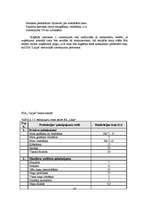 Diplomdarbs 'Jauna uzņēmuma SIA "Laipa" attīstības plāns', 40.