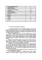 Diplomdarbs 'Jauna uzņēmuma SIA "Laipa" attīstības plāns', 41.