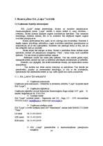 Diplomdarbs 'Jauna uzņēmuma SIA "Laipa" attīstības plāns', 46.