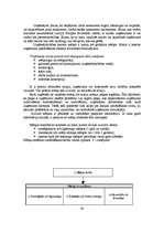 Diplomdarbs 'Jauna uzņēmuma SIA "Laipa" attīstības plāns', 48.