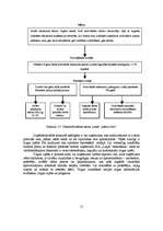 Diplomdarbs 'Jauna uzņēmuma SIA "Laipa" attīstības plāns', 51.
