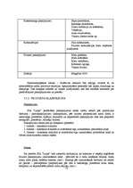 Diplomdarbs 'Jauna uzņēmuma SIA "Laipa" attīstības plāns', 53.