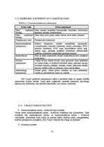 Diplomdarbs 'Jauna uzņēmuma SIA "Laipa" attīstības plāns', 54.