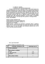 Diplomdarbs 'Jauna uzņēmuma SIA "Laipa" attīstības plāns', 57.