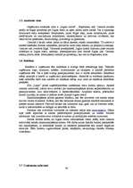 Diplomdarbs 'Jauna uzņēmuma SIA "Laipa" attīstības plāns', 60.