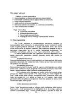 Diplomdarbs 'Jauna uzņēmuma SIA "Laipa" attīstības plāns', 61.