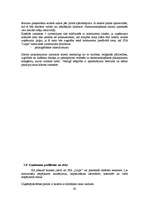 Diplomdarbs 'Jauna uzņēmuma SIA "Laipa" attīstības plāns', 62.