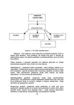 Diplomdarbs 'Jauna uzņēmuma SIA "Laipa" attīstības plāns', 66.
