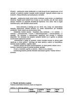 Diplomdarbs 'Jauna uzņēmuma SIA "Laipa" attīstības plāns', 67.