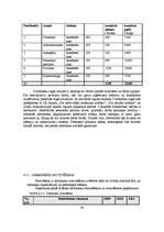 Diplomdarbs 'Jauna uzņēmuma SIA "Laipa" attīstības plāns', 68.