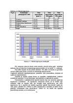 Diplomdarbs 'Jauna uzņēmuma SIA "Laipa" attīstības plāns', 70.