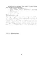 Diplomdarbs 'Jauna uzņēmuma SIA "Laipa" attīstības plāns', 72.