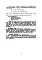 Diplomdarbs 'Jauna uzņēmuma SIA "Laipa" attīstības plāns', 74.