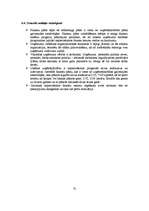 Diplomdarbs 'Jauna uzņēmuma SIA "Laipa" attīstības plāns', 75.