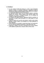 Diplomdarbs 'Jauna uzņēmuma SIA "Laipa" attīstības plāns', 77.