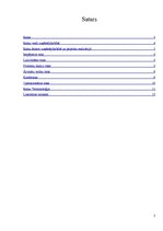 Referāts 'Risks, tā veidi', 2.