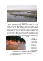 Referāts 'Latvijas ainavu rajonēšana. Piejūra', 6.