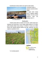 Referāts 'Latvijas ainavu rajonēšana. Piejūra', 12.