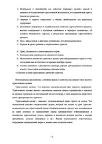 Biznesa plāns 'Туристический бизнес', 13.