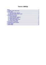 Referāts 'Nozares apraksts (izglītība)', 2.