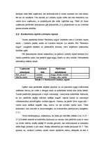 Referāts 'Nozares apraksts (izglītība)', 7.