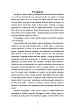 Referāts 'Rotaļlietas kā nozīmīga kultūras mantojuma sastāvdaļa', 3.