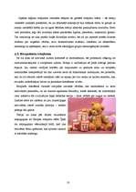 Referāts 'Rotaļlietas kā nozīmīga kultūras mantojuma sastāvdaļa', 18.