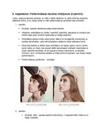 Konspekts 'Pārliecināšana vizuālos vēstījumos', 1.