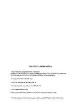 Referāts 'Buldozeri "Caterpillar"', 14.