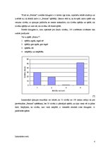 Eseja 'Sociālās spēles. Spēle "Ferma"', 4.