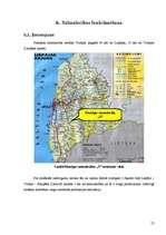 Biznesa plāns 'Piemājas saimniecība "X"', 15.