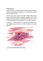 Konspekts 'Toksoplazmoze', 4.