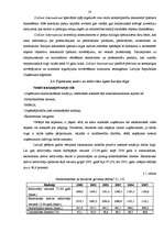 Diplomdarbs 'Uzņēmuma konkurētspējas paaugstināšanas projekts SIA "Colliers international"', 28.