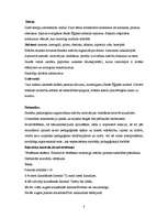 Prakses atskaite 'Pedagoģiskās prakses atskaite', 8.