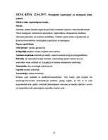 Prakses atskaite 'Pedagoģiskās prakses atskaite', 16.