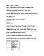 Prakses atskaite 'Pedagoģiskās prakses atskaite', 17.