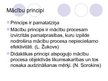 Prezentācija 'Didaktikas komponentu mijiedarbība', 13.