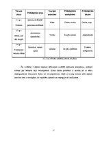 Referāts 'TV3 raidījuma "Māmiņu klubs" satura analīze un mērķauditorijas raksturojums', 17.