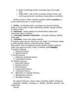 Referāts 'Ģeometrisko formu izpratnes veidošanās pirmsskolas vecumā', 21.