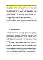 Biznesa plāns 'Biznesa plāns', 6.