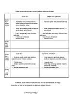 Biznesa plāns 'Biznesa plāns', 8.