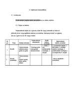 Biznesa plāns 'Biznesa plāns', 12.