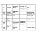 Biznesa plāns 'Biznesa plāns', 15.