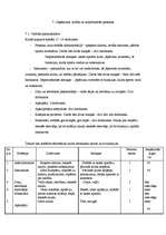 Biznesa plāns 'Biznesa plāns', 17.